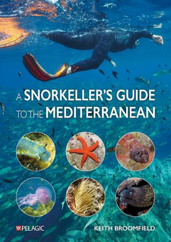 Бумажная книга «A Snorkeller’s Guide to the Mediterranean: A photographic ID guide to the most commonly encountered marine species», автор Кит Брумфилд - фото №1
