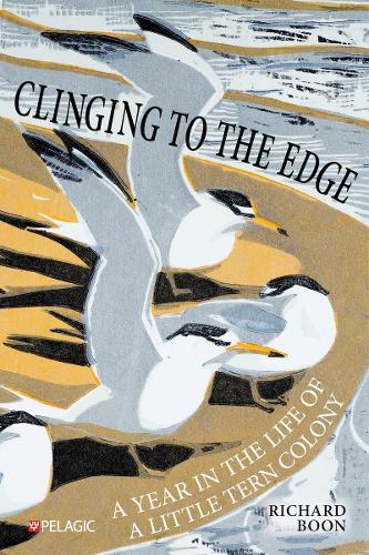 Бумажная книга «Clinging to the Edge: A Year in the Life of a Little Tern Colony», автор Ричард Бун - фото №1
