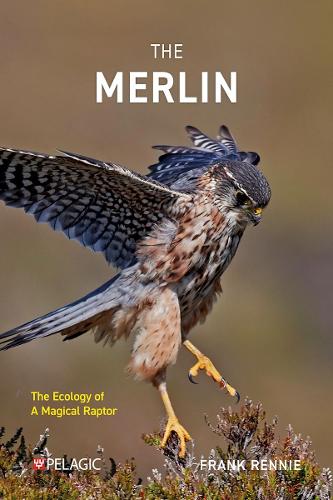 Бумажная книга «The Merlin: The Ecology of a Magical Raptor», автор Фрэнк Ренни - фото №1