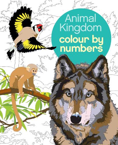 Бумажная книга «Animal Kingdom Colour by Numbers», авторов Арпад Ольбей, Мартин Сандерс - фото №1