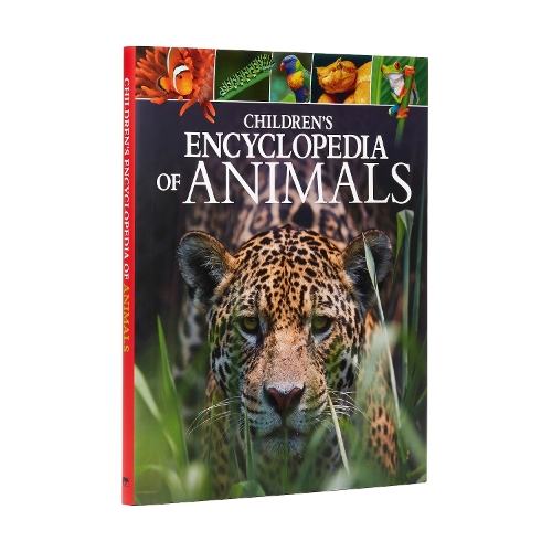 [object Object] «Children's Encyclopedia of Animals», авторов Мериэль Лланд, Майкл Лич - фото №1