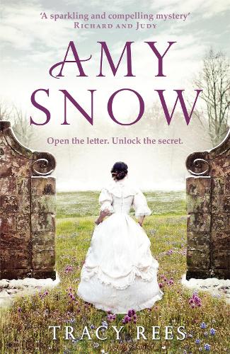 Бумажная книга «Amy Snow», автор Трейси Рис - фото №1
