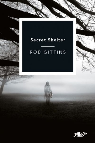 Бумажная книга «Secret Shelter», автор Роб Гиттинс - фото №1
