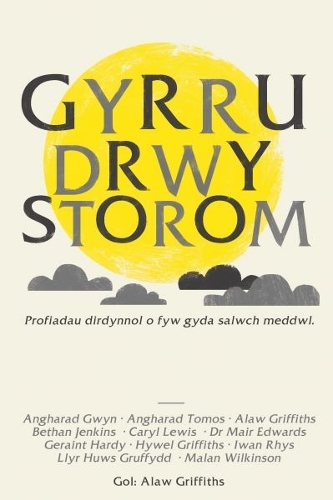Паперова книга «Gyrru drwy Storom», авторів Ангарад Гвін, Анґарад Томос, Бетан Дженкінс, Керіл Льюїс, Джерант Харді, Хайвел Гріффітс, Іван Рис, Ллір Г'юз Ґраффілд, Мейр Едвардс, Малан Вілкінсон - фото №1