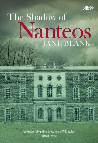 Бумажная книга «The Shadow of Nanteos», автор Джейн Бланк - фото №1