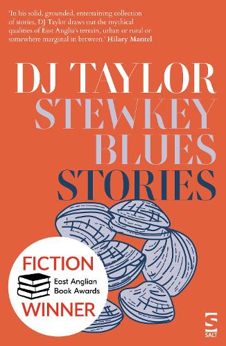 Бумажная книга «Stewkey Blues: Stories», автор Д. Дж. Тейлор - фото №1