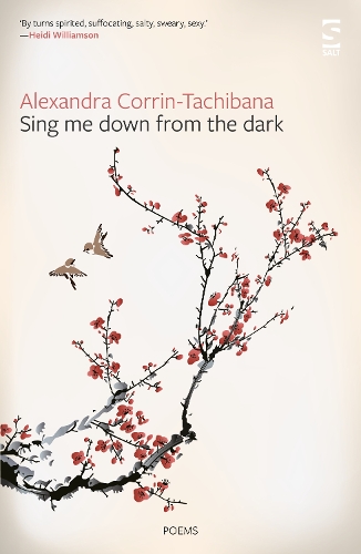 Паперова книга «Sing Me Down from the Dark», автор Александра Коррін-Тачібана - фото №1