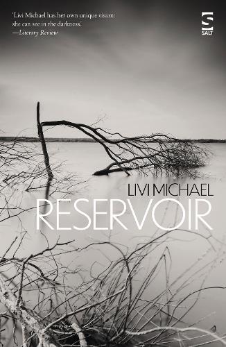 Бумажная книга «Reservoir», автор Ливи Майкл - фото №1