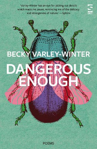 Паперова книга «Dangerous Enough», автор Беккі Варлі-Вінтер - фото №1