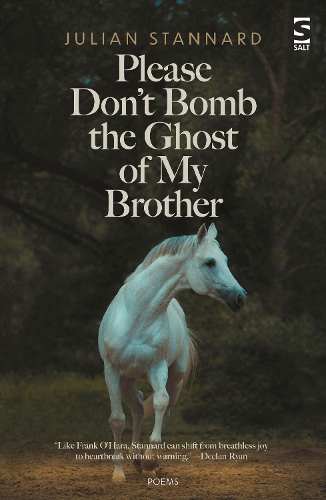 Паперова книга «Please Don’t Bomb the Ghost of My Brother», автор Джуліан Стеннард - фото №1
