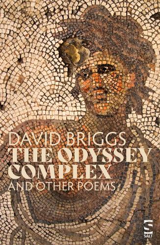 Бумажная книга «The Odyssey Complex: and Other Poems», автор Дэвид Бриггс - фото №1