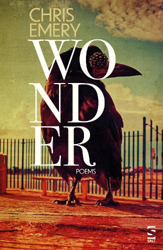 Паперова книга «Wonder», автор Кріс Емері - фото №1