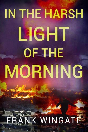 Бумажная книга «In the Harsh Light of the Morning», автор Фрэнк Уингейт - фото №1