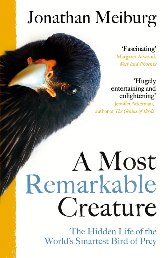 Бумажная книга «A Most Remarkable Creature», автор Джонатан Мейбург - фото №1
