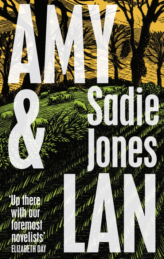 Паперова книга «Amy and Lan», автор Седі Джонс - фото №1
