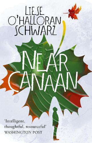 Бумажная книга «Near Canaan» - фото №1
