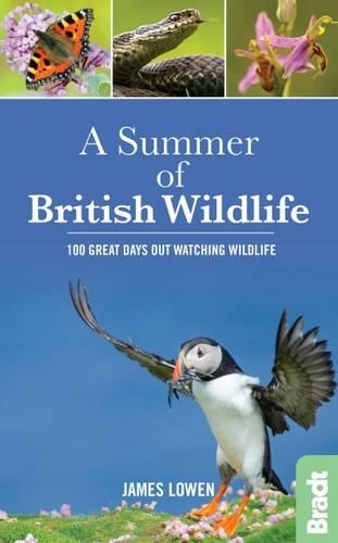 Бумажная книга «A Summer of British Wildlife: 100 great days out watching wildlife», автор Джеймс Лоуэн - фото №1