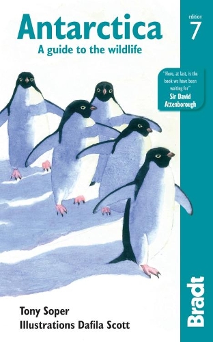 Бумажная книга «Antarctica: A Guide to the Wildlife», автор Тони Сопер - фото №1