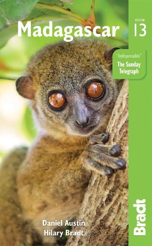 Паперова книга «Madagascar», авторів Деніел Остін, Гіларі Брадт - фото №1