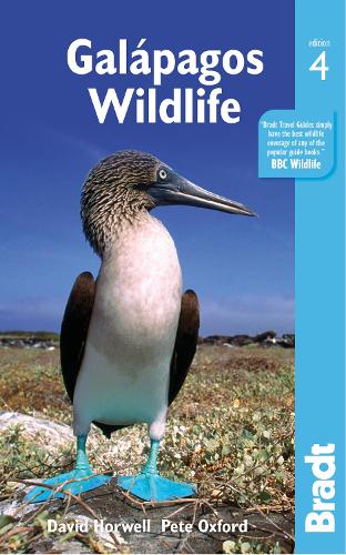 Бумажная книга «Galapagos Wildlife», авторов Дэвид Хорвелл, Пит Оксфорд - фото №1