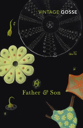 Бумажная книга «Father and Son», автор Эдмунд Госсе - фото №1