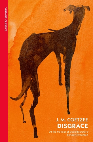 Паперова книга «Disgrace: A BBC Radio 4 Good Read», автор Джон Максвелл Кутзее - фото №1