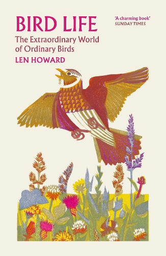 Бумажная книга «Bird Life: The Extraordinary World of Ordinary Birds», автор Лен Ховард - фото №1