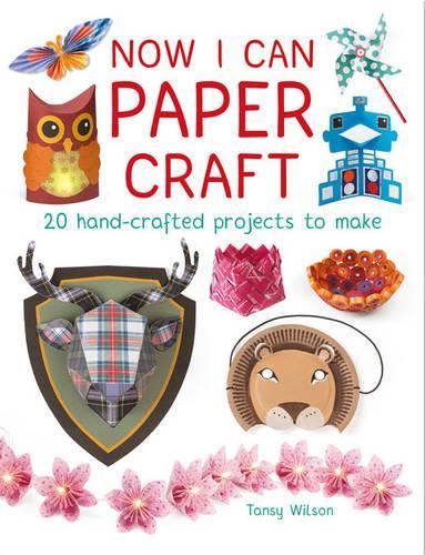 Паперова книга «Now I Can Paper Craft: 20 Hand-Crafted Projects to Make», автор Тензі Вілсон - фото №1