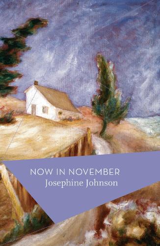 Паперова книга «Now In November», автор Жозефіна Джонсон - фото №1