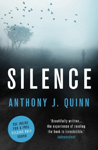 Бумажная книга «Silence», автор Энтони Дж. Куинн - фото №1