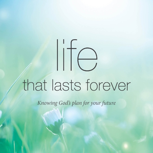 Бумажная книга «Life that lasts forever: Knowing God's plan for your future», автор Тим Торнборо - фото №1