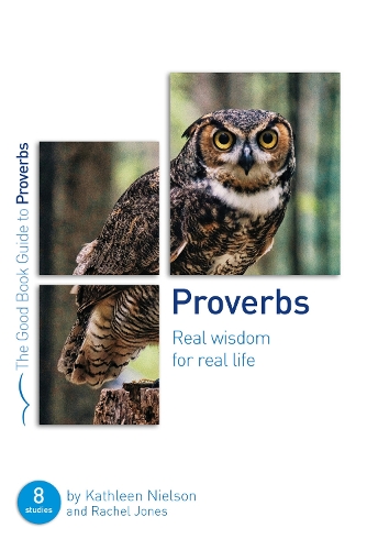 Паперова книга «Proverbs: Real Wisdom for Real Life: Eight studies for groups or individuals», авторів Кетлін Б. Нільсон, Рейчел Джонс - фото №1