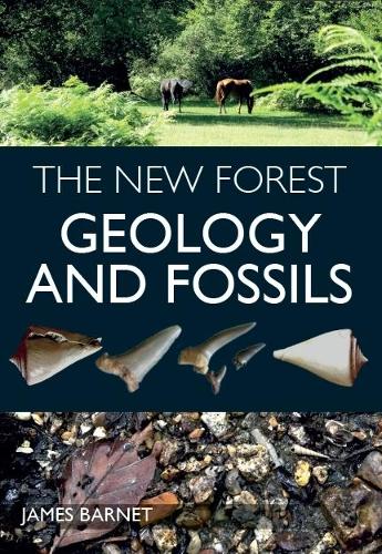 Бумажная книга «The New Forest: Geology and Fossils», автор Джеймс Барнетт - фото №1