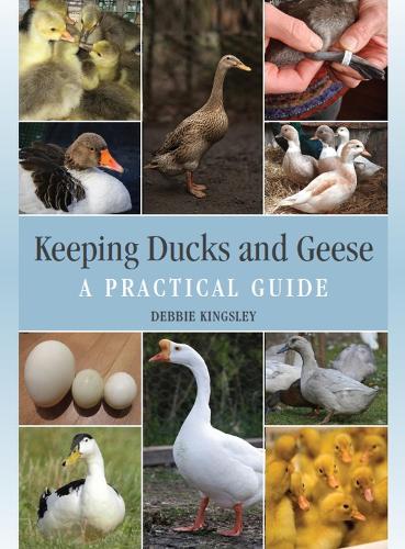 Бумажная книга «Keeping Ducks and Geese: A Practical Guide», автор Дебби Кингсли - фото №1