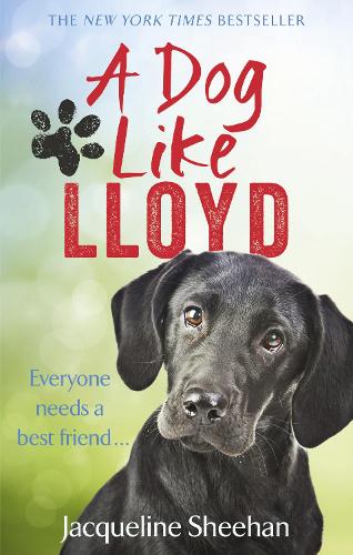 Паперова книга «A Dog Like Lloyd», автор Жаклін Шихан - фото №1