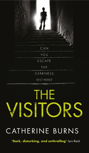 Бумажная книга «The Visitors: Gripping thriller, you won’t see the end coming», автор Кэтрин Бернс - фото №1