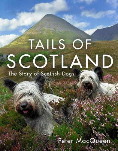 Бумажная книга «Tails of Scotland: The Story of Scottish Dogs», автор Питер Маккуин - фото №1