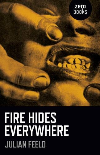 Паперова книга «Fire Hides Everywhere», автор Джуліан Фелд - фото №1