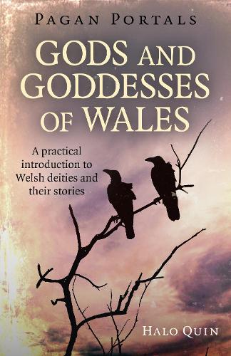 Бумажная книга «Pagan Portals - Gods and Goddesses of Wales: A practical introduction to Welsh deities and their stories», автор Хало Куин - фото №1