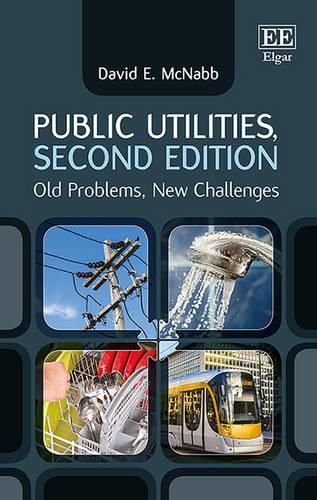 Бумажная книга «Public Utilities, Second Edition: Old Problems, New Challenges», автор Дэвид Э. Макнабб - фото №1