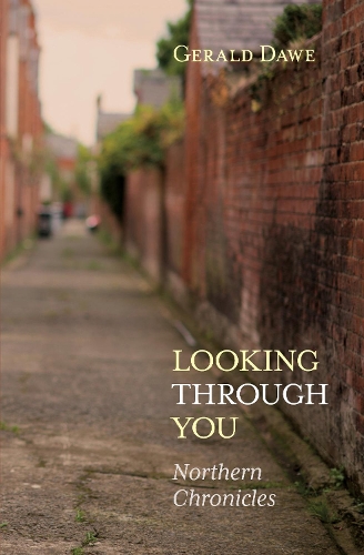 Бумажная книга «Looking Through You: Northern Chronicles», автор Джеральд Доу - фото №1