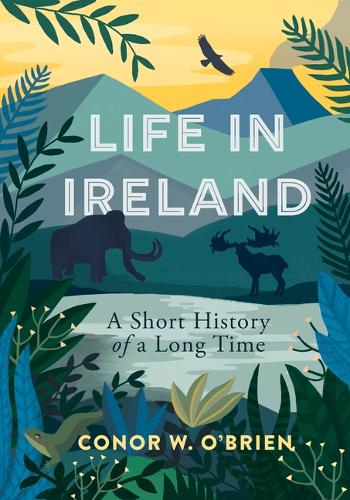 Бумажная книга «Life in Ireland: A Short History of a Long Time», автор Конор О'Брайен - фото №1