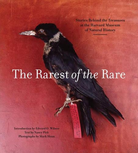  «RAREST OF THE RARE                    PB» - фото №1