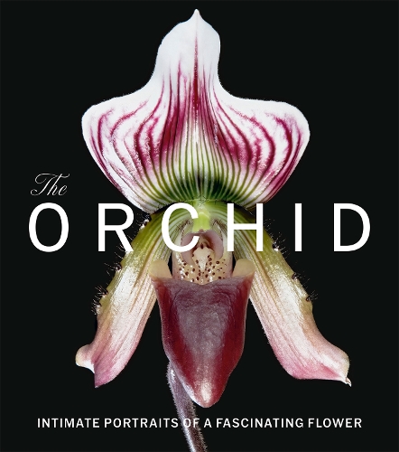 Паперова книга «The Orchid: Intimate Portraits of a Fascinating Flower», автор Девід Беррі - фото №1