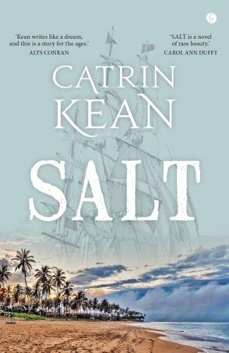Паперова книга «Salt», автор Катрін Кін - фото №1