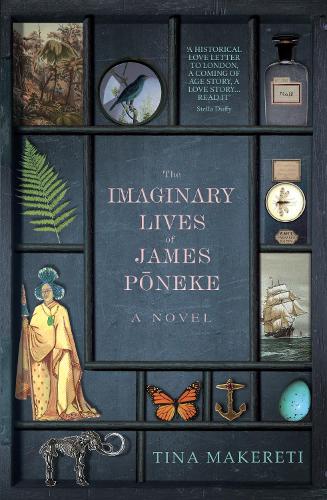 Бумажная книга «The Imaginary Lives of James Poneke», автор Тина Макерети - фото №1