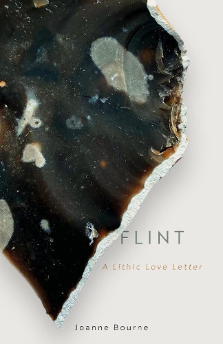 Паперова книга «Flint: A lithic love letter», автор Джоанна Борн - фото №1