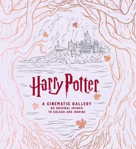 Бумажная книга «Harry Potter A Cinematic Gallery», автор Дж. М. Драгунас - фото №1