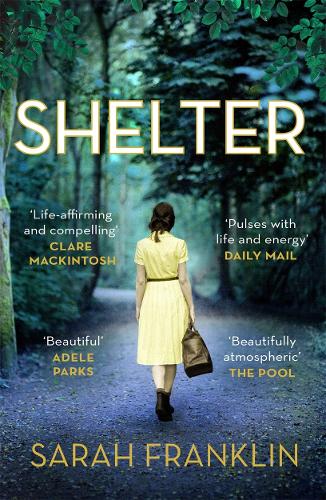Бумажная книга «Shelter: ‘One of the year's hottest debuts’», автор Сара Франклин - фото №1