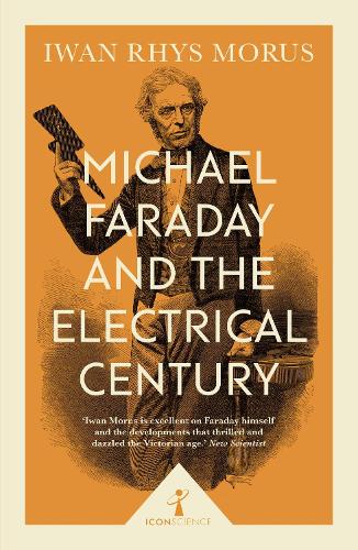 Бумажная книга «Michael Faraday and the Electrical Century (Icon Science)», автор Ивен Рис Морус - фото №1